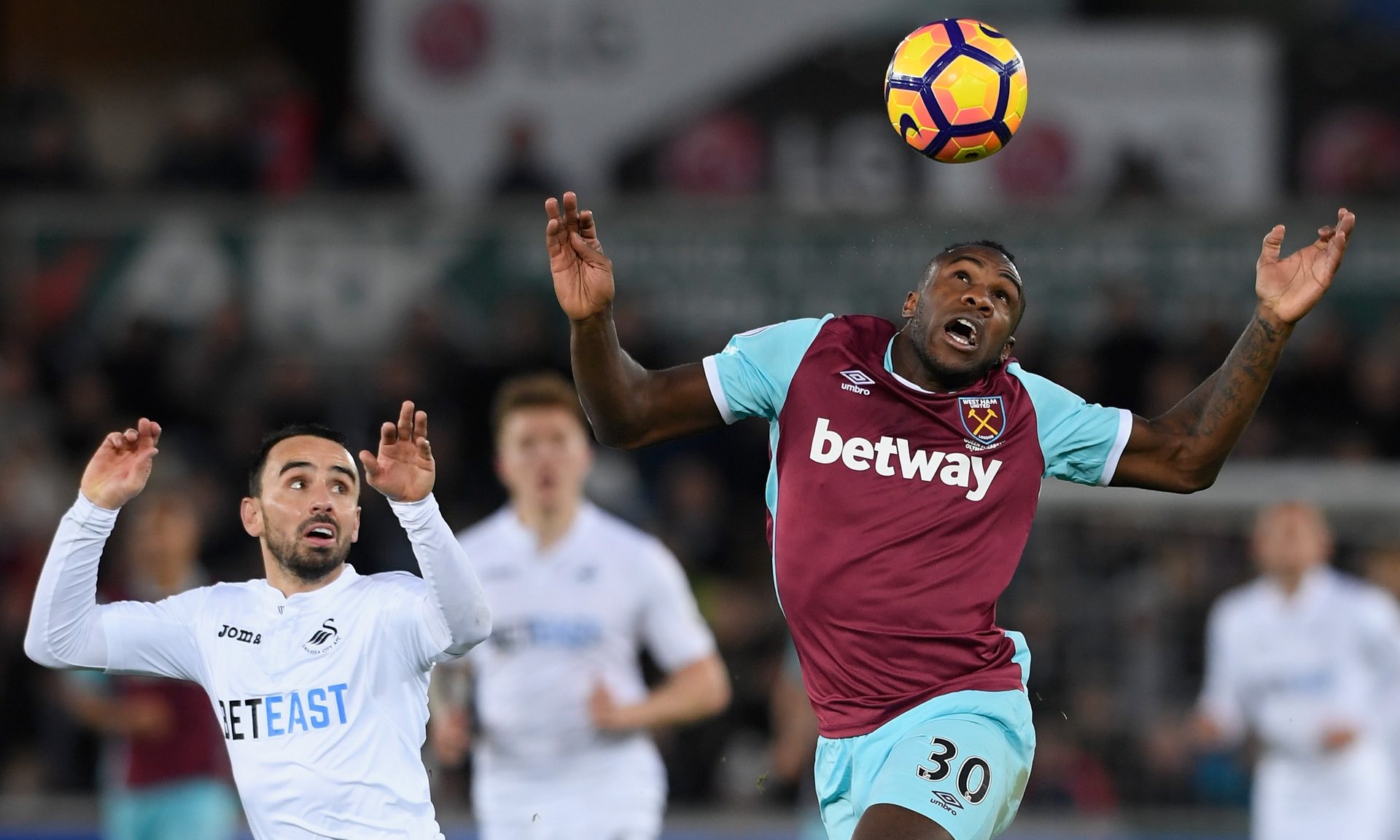 他将俱乐部 他将俱乐部